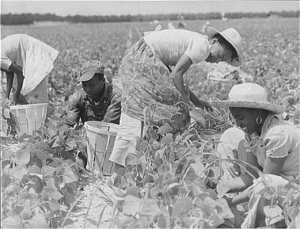 workers